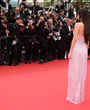 Filename=0108.jpg
Filesize=2766KiB
Dimensions=5297x3531
Date added=May 21, 2025 0108.jpg