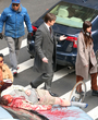 Filename=0314.jpg
Filesize=3685KiB
Dimensions=3284x3285
Date added=Mar 14, 2025 0314.jpg