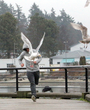 Filename=017.jpg
Filesize=1123KiB
Dimensions=3600x2400
Date added=Jun 18, 2025 017.jpg