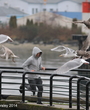 Filename=086.jpg
Filesize=7041KiB
Dimensions=4288x2969
Date added=Jun 18, 2025 086.jpg