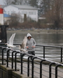 Filename=188.jpg
Filesize=9227KiB
Dimensions=3456x5184
Date added=Jun 18, 2025 188.jpg
