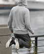 Filename=270.jpg
Filesize=2287KiB
Dimensions=2000x3000
Date added=Jun 18, 2025 270.jpg