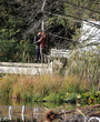 Filename=015t.jpg
Filesize=8490KiB
Dimensions=3940x2626
Date added=Jun 18, 2025 015t.jpg
