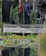 Filename=037.jpg
Filesize=2706KiB
Dimensions=2000x3000
Date added=Jun 18, 2025 037.jpg