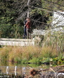Filename=124t.jpg
Filesize=8939KiB
Dimensions=3940x2624
Date added=Jun 18, 2025 124t.jpg