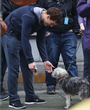 Filename=071.jpg
Filesize=612KiB
Dimensions=2266x3000
Date added=Jun 18, 2025 071.jpg
