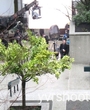 t006.jpg