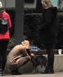 Filename=001.jpg
Filesize=1557KiB
Dimensions=2208x3318
Date added=Jun 18, 2025 001.jpg