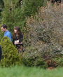 Filename=144.jpg
Filesize=389KiB
Dimensions=1104x1038
Date added=Jun 19, 2025 144.jpg