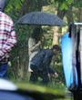 Filename=003.jpg
Filesize=949KiB
Dimensions=2632x3000
Date added=Jun 19, 2025 003.jpg