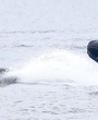 Filename=122.jpg
Filesize=392KiB
Dimensions=3468x1896
Date added=Jun 19, 2025 122.jpg