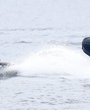 Filename=219.jpg
Filesize=811KiB
Dimensions=3700x1899
Date added=Jun 19, 2025 219.jpg