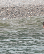 Filename=405.jpg
Filesize=1271KiB
Dimensions=3700x1871
Date added=Jun 19, 2025 405.jpg
