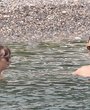 Filename=499.jpg
Filesize=468KiB
Dimensions=2505x1632
Date added=Jun 19, 2025 499.jpg
