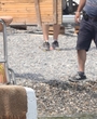 Filename=556.jpg
Filesize=1331KiB
Dimensions=3700x1919
Date added=Jun 19, 2025 556.jpg