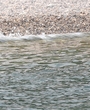 Filename=557.jpg
Filesize=1579KiB
Dimensions=3700x1955
Date added=Jun 19, 2025 557.jpg
