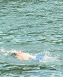 Filename=801t.JPG
Filesize=3393KiB
Dimensions=4608x3456
Date added=Jun 19, 2025 801t.JPG