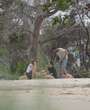 Filename=DJU00014.jpg
Filesize=658KiB
Dimensions=2599x1735
Date added=Aug 02, 2025 DJU00014.jpg