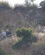 DJU00043.jpg