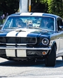 Filename=DJU00044.jpg
Filesize=2505KiB
Dimensions=2500x1667
Date added=Aug 17, 2025 DJU00044.jpg