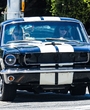 Filename=DJU00049.jpg
Filesize=2279KiB
Dimensions=2338x1559
Date added=Aug 17, 2025 DJU00049.jpg