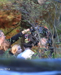 Filename=020t.jpg
Filesize=7537KiB
Dimensions=4296x2863
Date added=Feb 11, 2024 020t.jpg