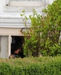 Filename=023.jpg
Filesize=78KiB
Dimensions=960x557
Date added=Feb 11, 2024 023.jpg